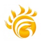 坊子四个城市ico