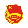 松北共青团ico