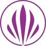 心泉林ico