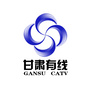 甘肃广电网络官网ico