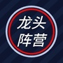 龙头阵营ico
