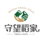 守望稻田公众号ico