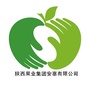 陕西果业集团安塞有限公司ico