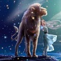 秘语星座ico