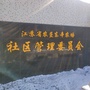 东辛社区公众号ico