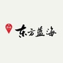 淮南东方蓝海ico