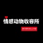 情感动物收容所公众号ico