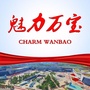 魅力万宝ico