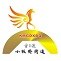 微视板桥ico