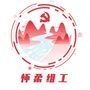 怀柔组工ico