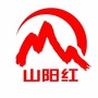 山阳基层党建ico