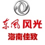 海南佳致东风风光ico