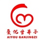 爱优甘井子ico