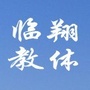 临翔教体ico
