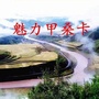 魅力甲桑卡ico