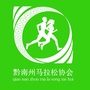 黔南州马拉松协会ico