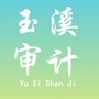 玉溪审计ico