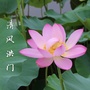 清风洪门ico