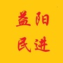 民进益阳市委ico