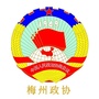 梅州政协ico