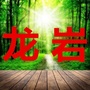 龙岩家乡大群ico
