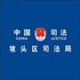 坡头司法ico