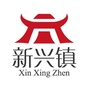 新兴政府ico