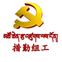措勤组工ico