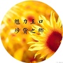 魅力王口ico
