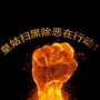 皇姑扫黑除恶在行动ico
