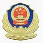 平安鸽群ico