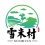 金泽镇雪米村ico