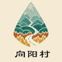 向阳村微站公众号ico
