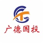 广德国投ico