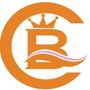 宝城文物ico