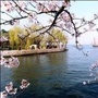 听江海ico