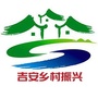 吉安乡村振兴ico