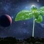 航天农业科普基地ico