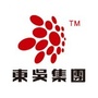 东吴集团ico
