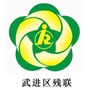 武进残联ico