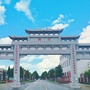 街子社区服务平台ico