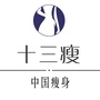 十三瘦公众号ico