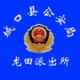 龙田派出所便民公众号ico