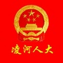 凌河人大ico