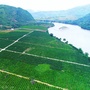 隆阳农业农村ico