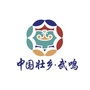 武鸣区旅游ico