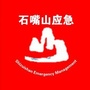 石嘴山市政府应急办ico