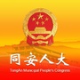 同安人大ico