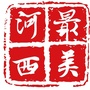 最美河西ico
