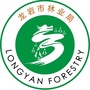 龙岩林业ico